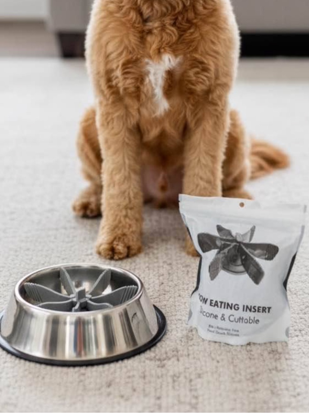 New dog Slow Eating Insert - silicone & cuttable